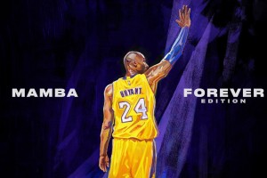 本年度nba季后赛排名榜，去年nba季后赛排名
